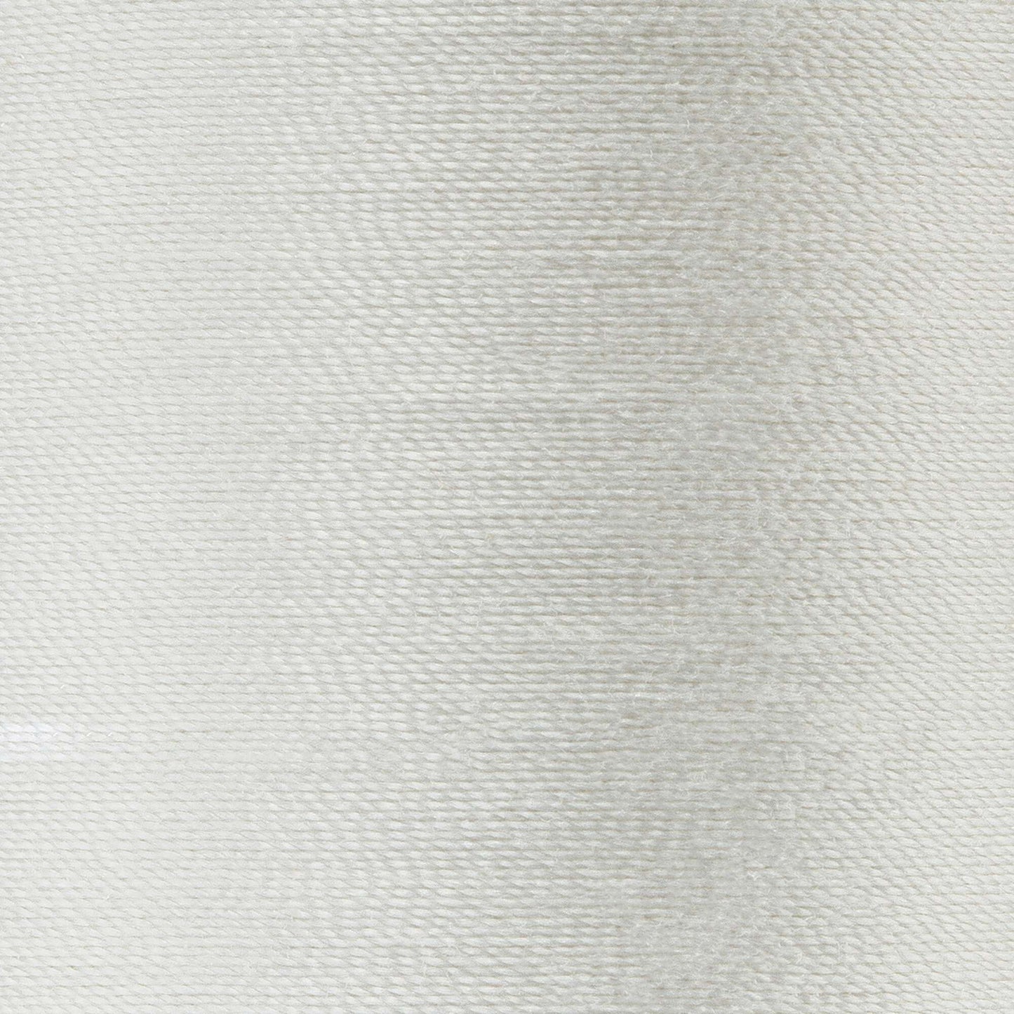 Coats & Clark All Purpose Thread (500 Yards)