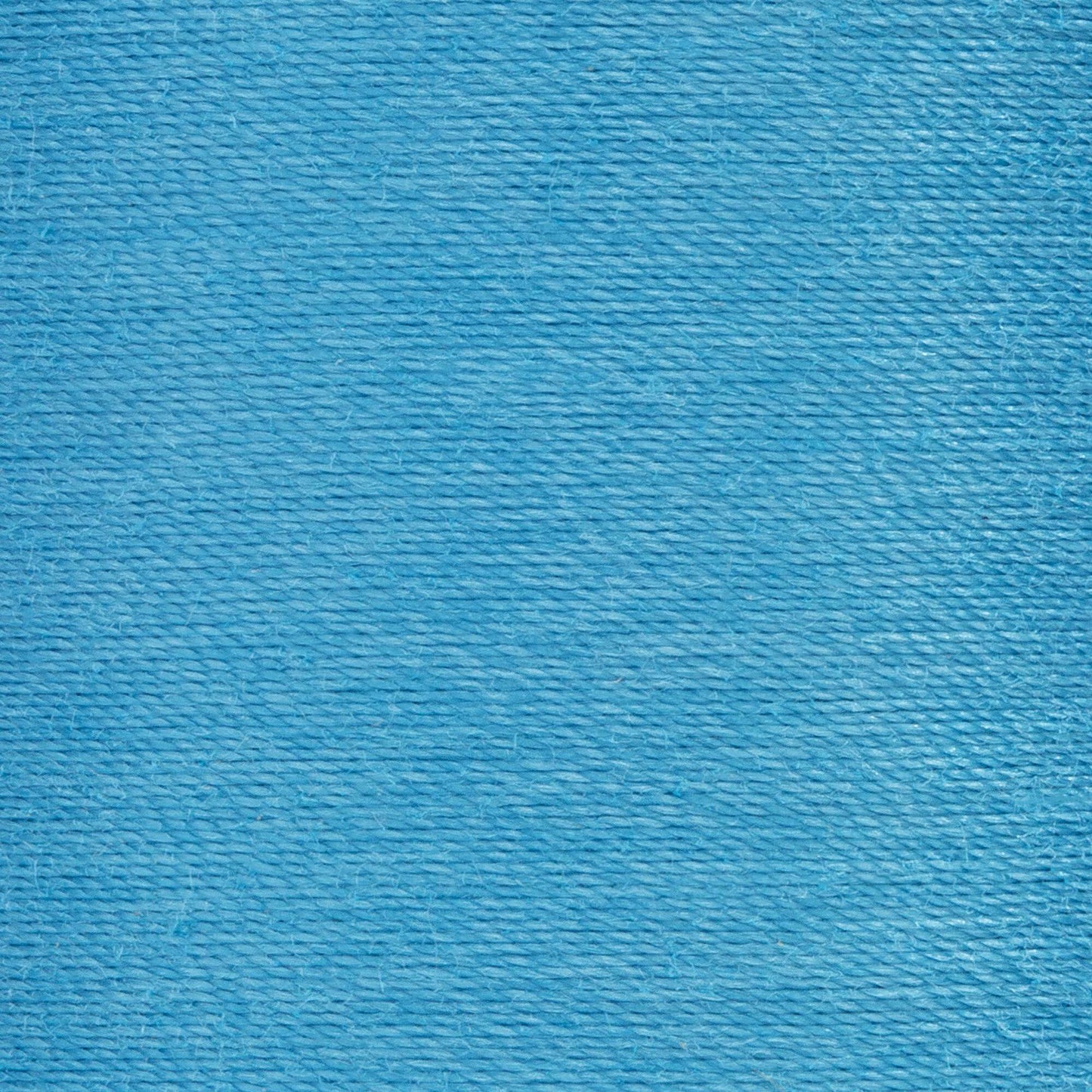 Coats & Clark All Purpose Thread (500 Yards)