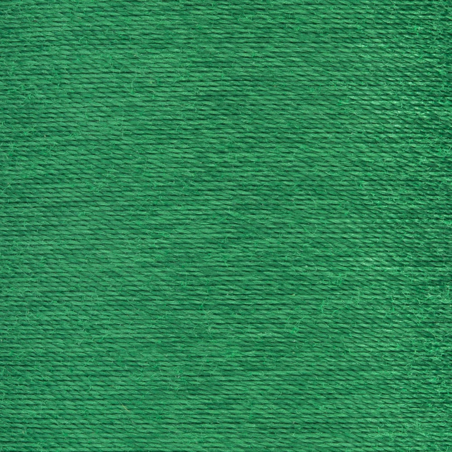Coats & Clark All Purpose Thread (500 Yards)