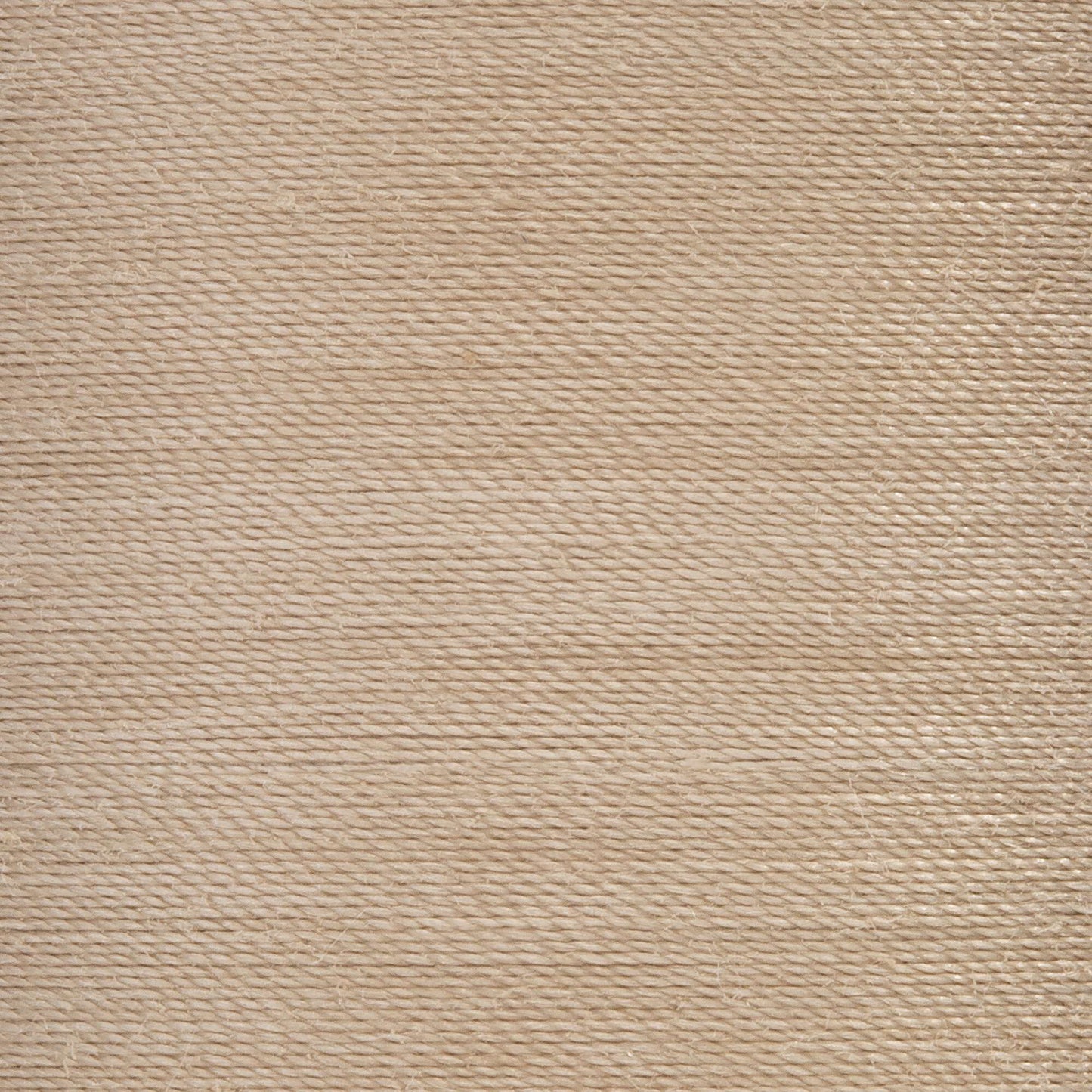 Coats & Clark All Purpose Thread (500 Yards)