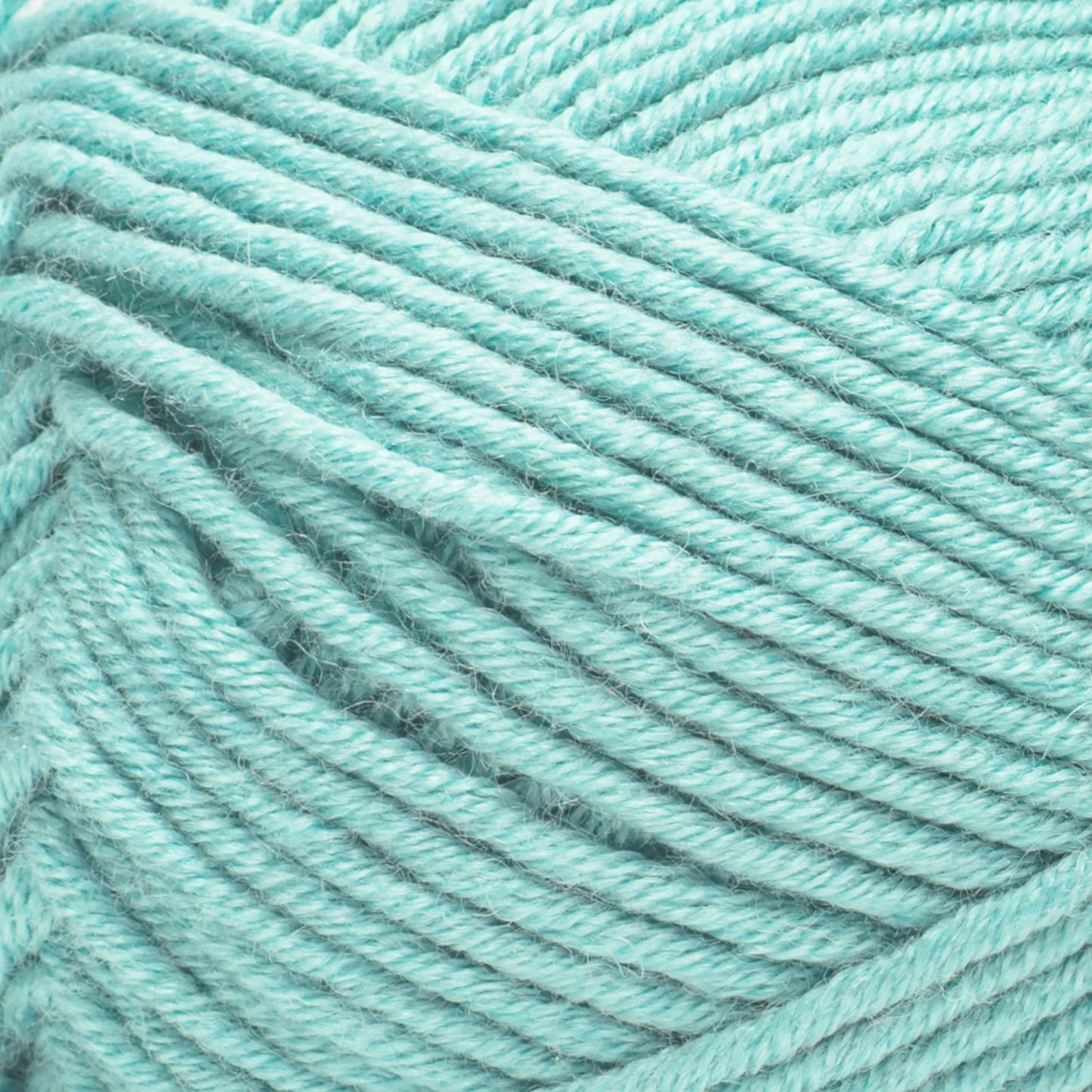 Caron Simply Me Yarn (200g/7oz)