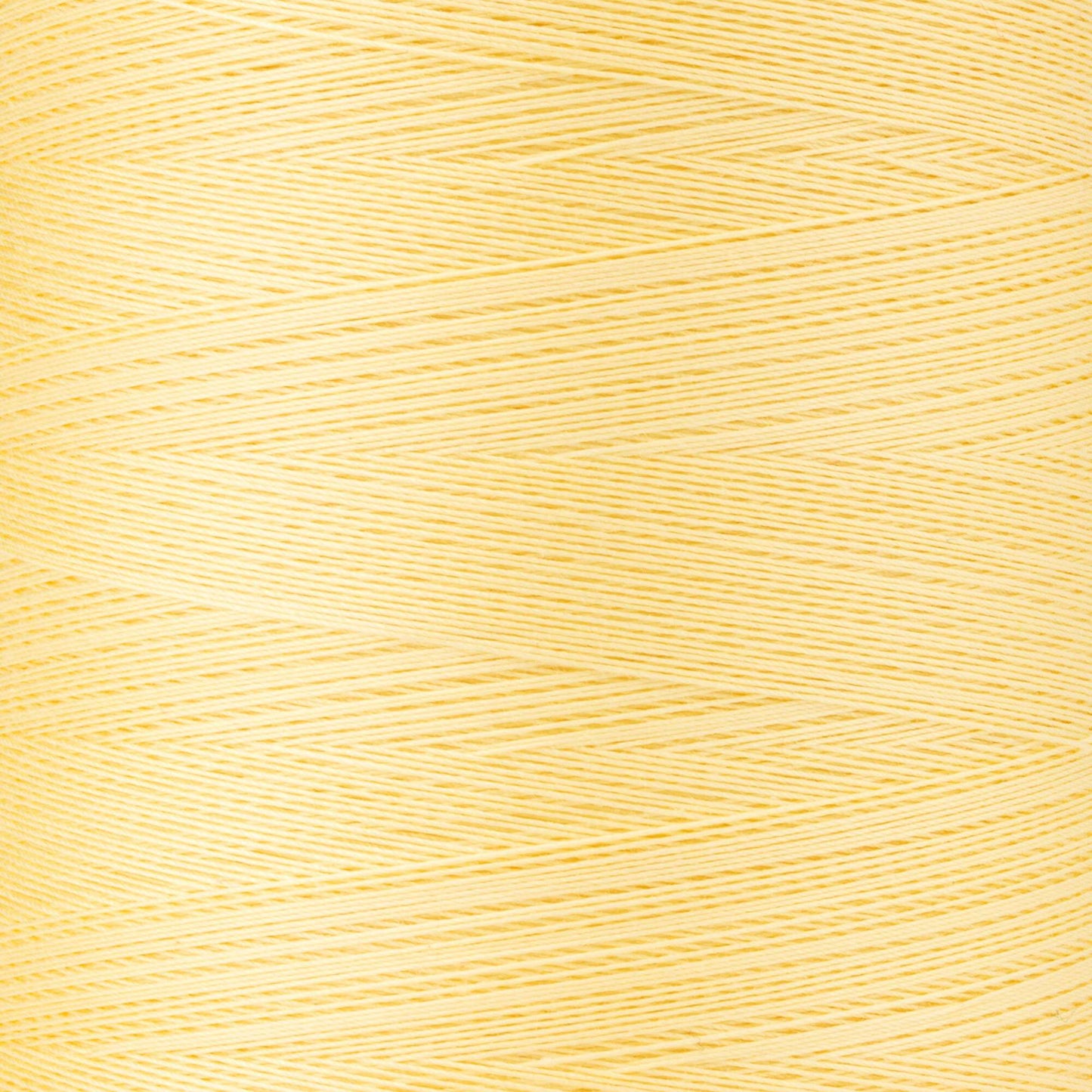 Coats & Clark Professional Machine Quilting Thread (3000 Yards)