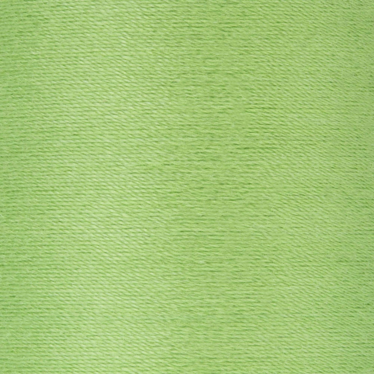Coats & Clark Cotton Covered Quilting & Piecing Thread (500 Yards)