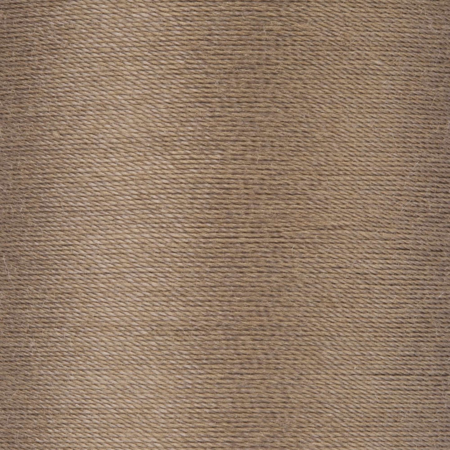 Coats & Clark Cotton Covered Quilting & Piecing Thread (500 Yards)