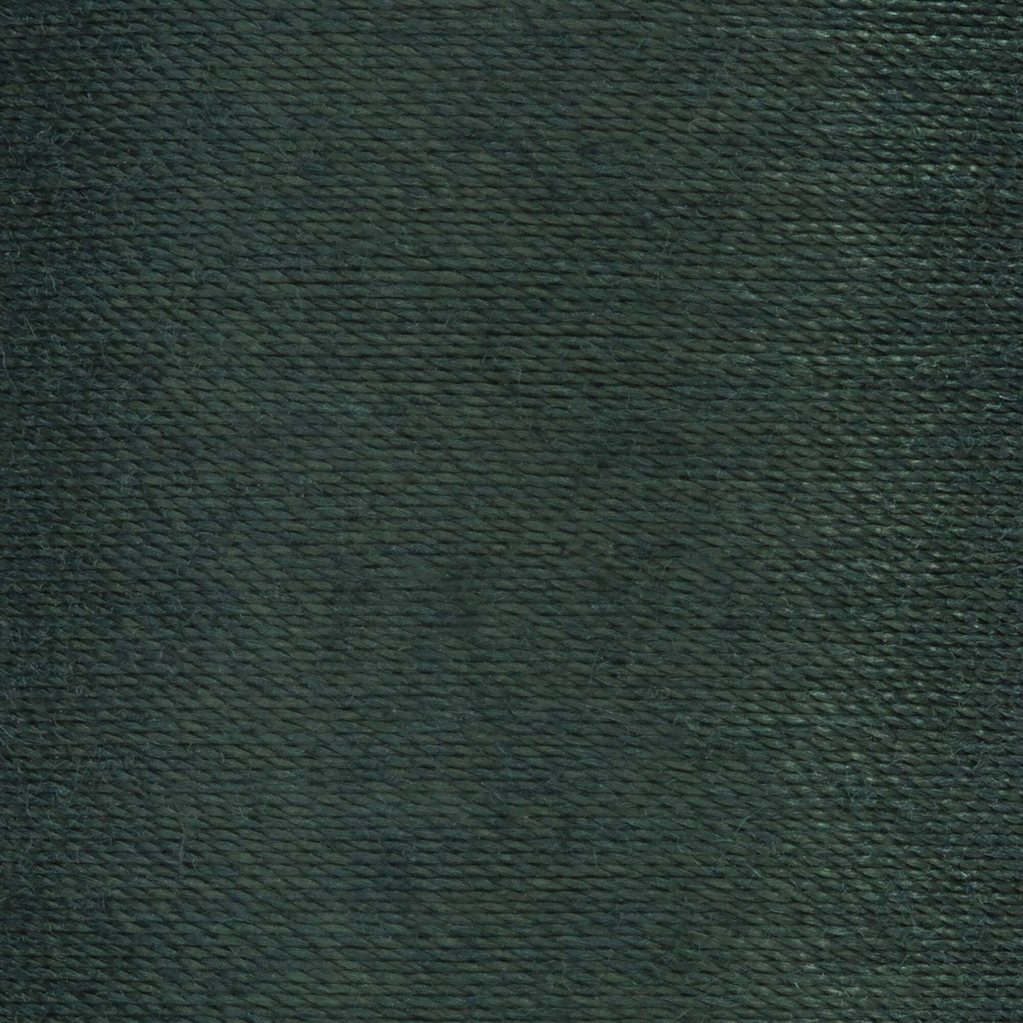 Coats & Clark Dual Duty XP All Purpose Thread (500 Yards)