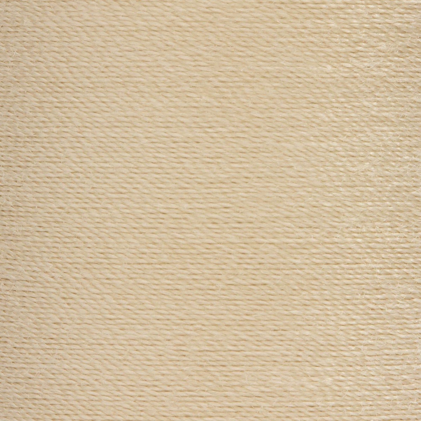 Coats & Clark Dual Duty XP All Purpose Thread (500 Yards)