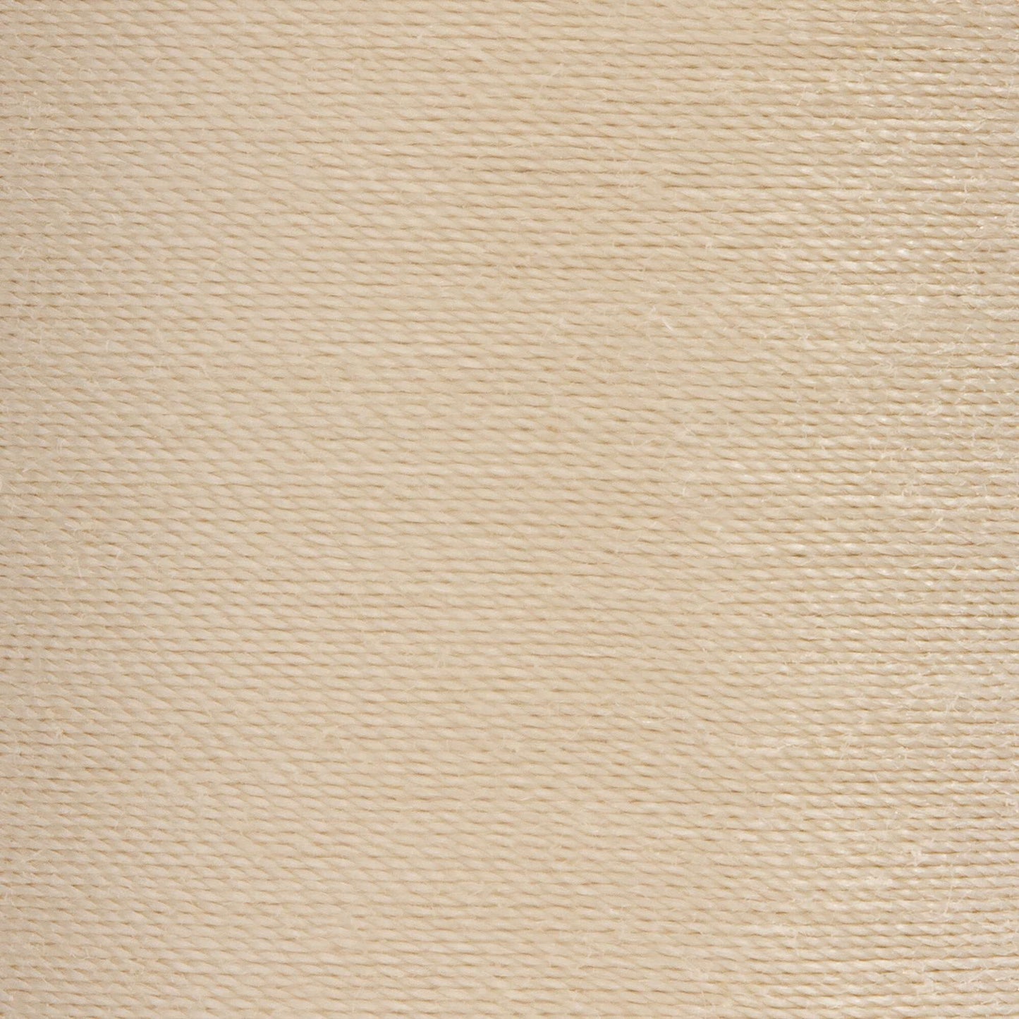 Coats & Clark Dual Duty XP All Purpose Thread (500 Yards)