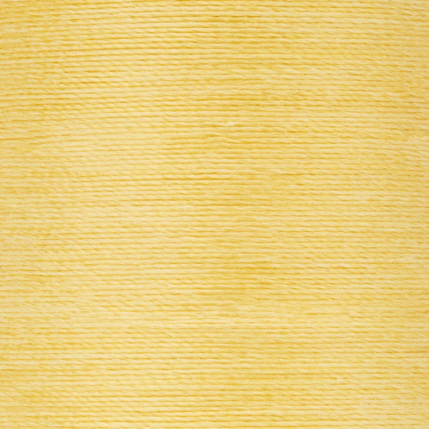Coats & Clark Dual Duty Plus Hand Quilting Thread (325 Yards)
