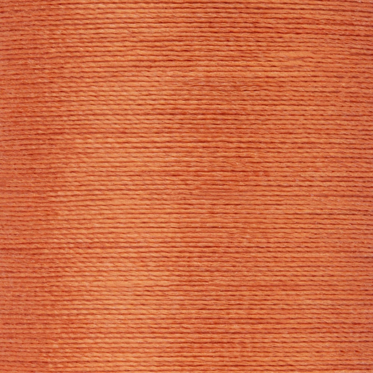 Coats & Clark Dual Duty Plus Hand Quilting Thread (325 Yards)