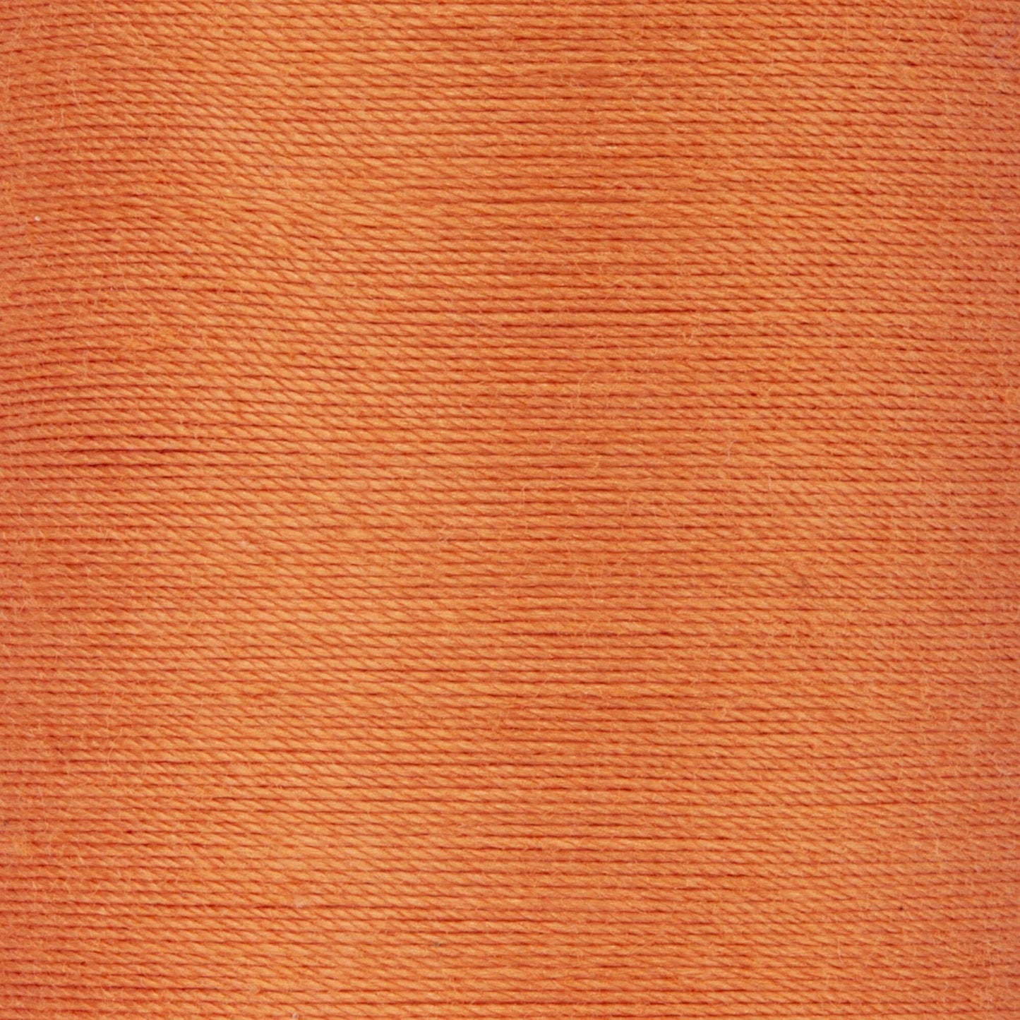 Coats & Clark Cotton Machine Quilting Thread (350 Yards)