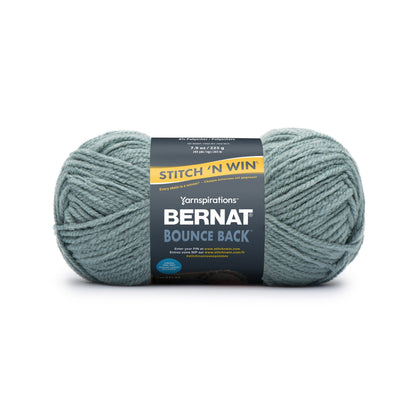 Bernat Bounce Back Yarn - Clearance shades