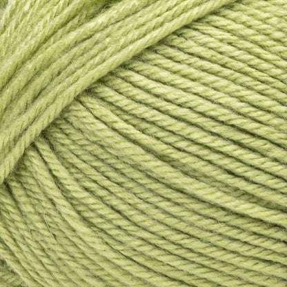 Bernat Fabwoolous Yarn - Clearance shades