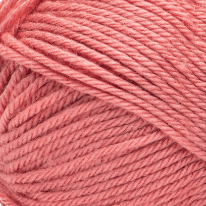 Bernat Fabwoolous Yarn - Clearance shades