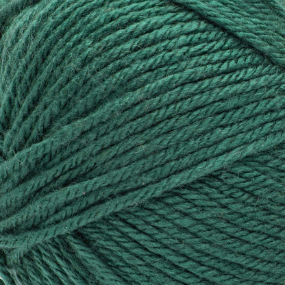 Bernat Fabwoolous Yarn - Clearance shades
