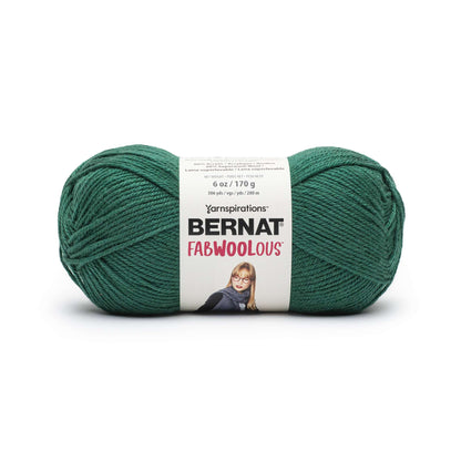 Bernat Fabwoolous Yarn - Clearance shades