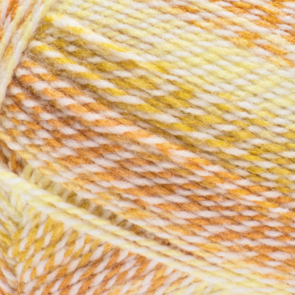 Bernat Sport Ombre Twist Yarn (280g/9.9oz)