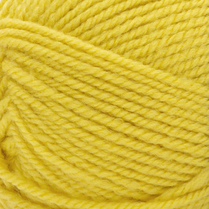 Patons Inspired Yarn