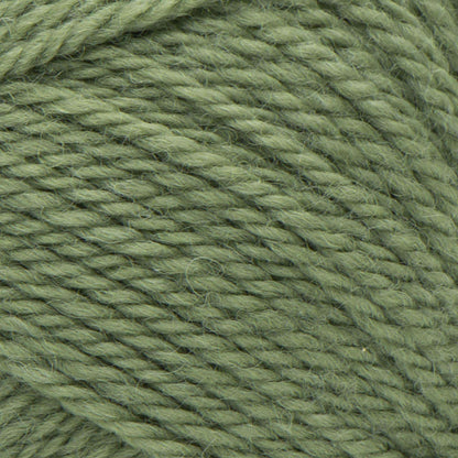 Patons Classic Wool Worsted Yarn - Clearance shades