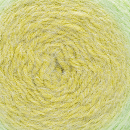 Caron Colorama Halo Yarn (500g/17.6oz)
