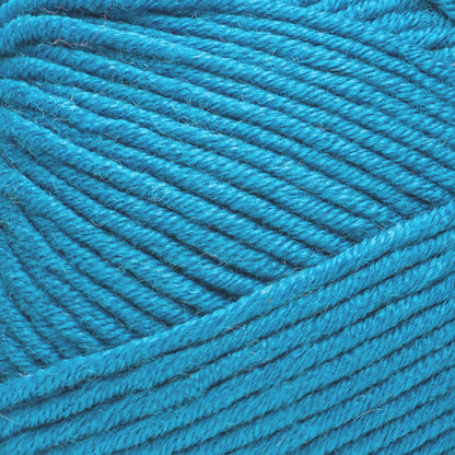 Caron Simply Me Yarn (200g/7oz)