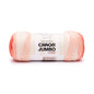 Caron Jumbo Ombre Yarn