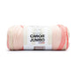 Caron Jumbo Ombre Yarn