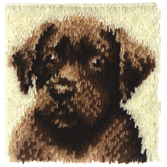 WonderArt Chocolate Lab Kit 12" x 12", Clearance items