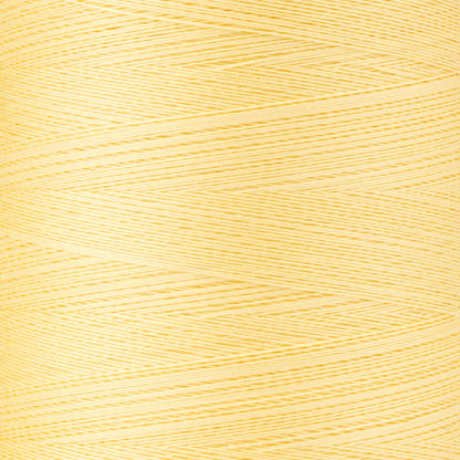 Coats & Clark Professional Machine Quilting Thread (3000 Yards)