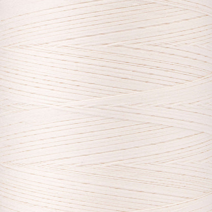 Coats & Clark Professional Machine Quilting Thread (3000 Yards)