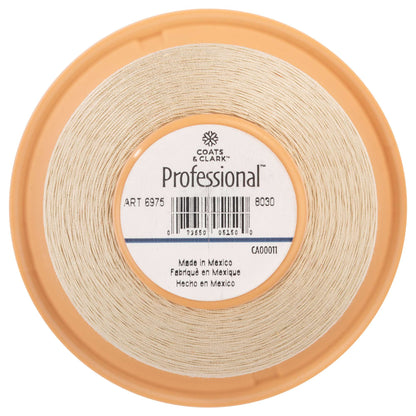 Coats & Clark Professional Machine Quilting Thread (3000 Yards)
