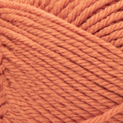 Red Heart Soft Yarn (283g/10oz) - Clearance shades
