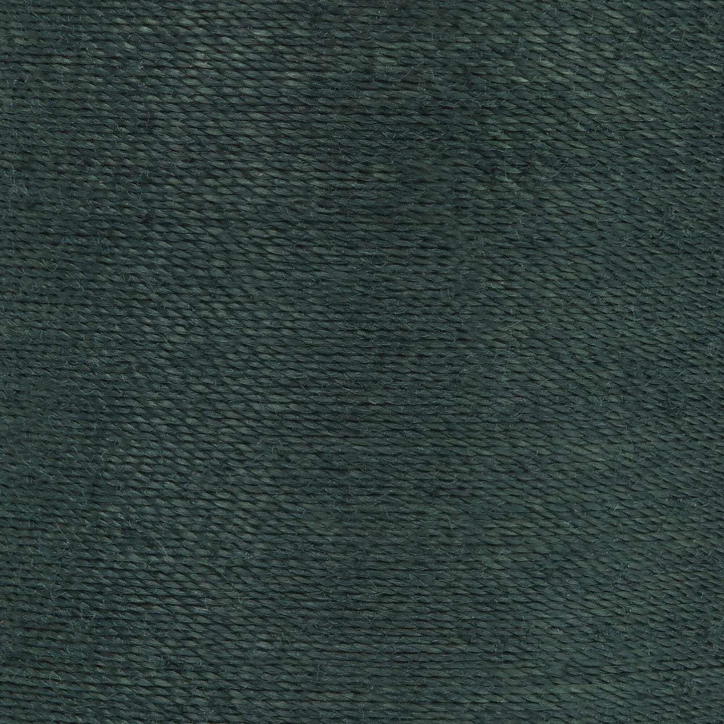 Coats & Clark Dual Duty XP All Purpose Thread (125 Yards)