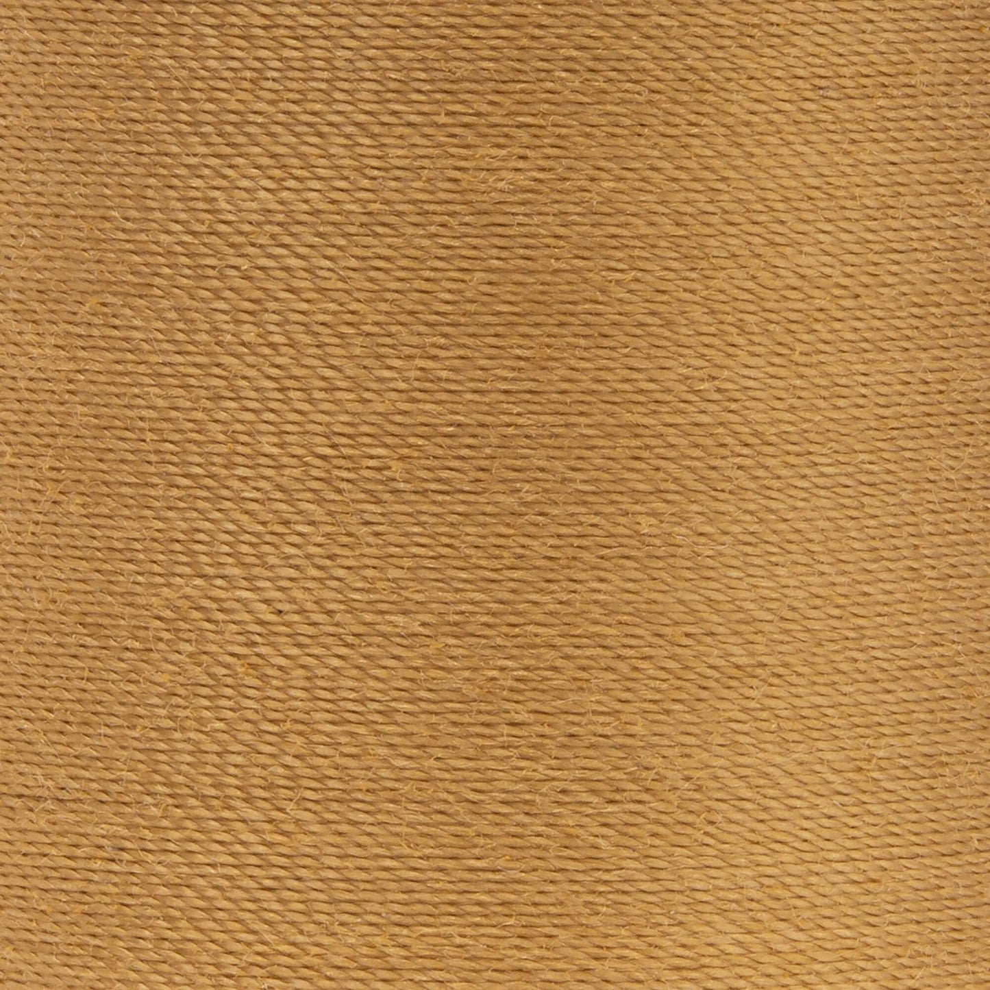 Coats & Clark Dual Duty XP All Purpose Thread (125 Yards)