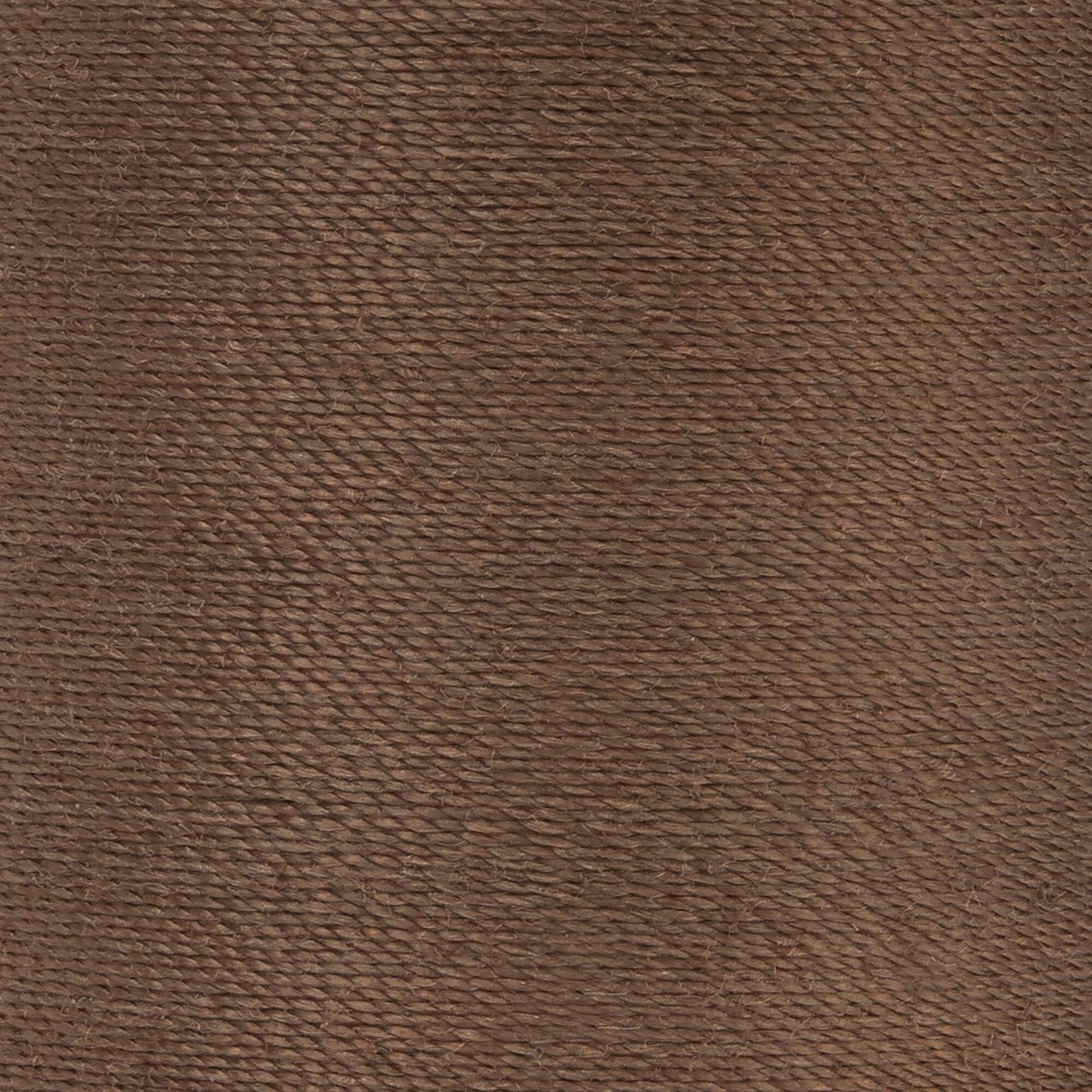 Coats & Clark Dual Duty XP All Purpose Thread (125 Yards)