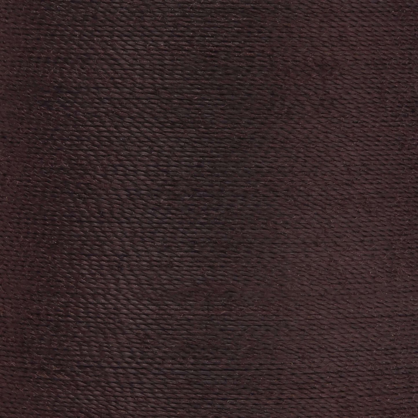 Coats & Clark Dual Duty XP All Purpose Thread (125 Yards)