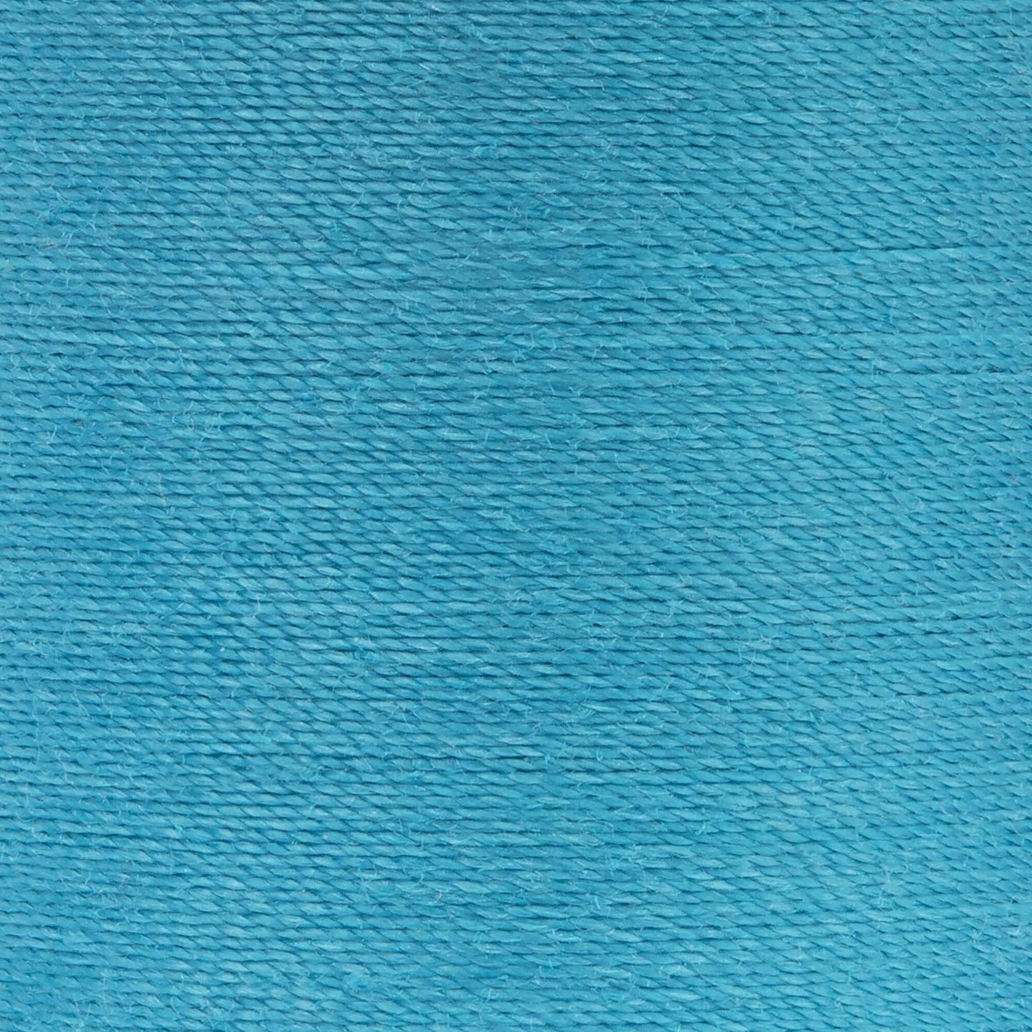 Coats & Clark Dual Duty XP All Purpose Thread (125 Yards)