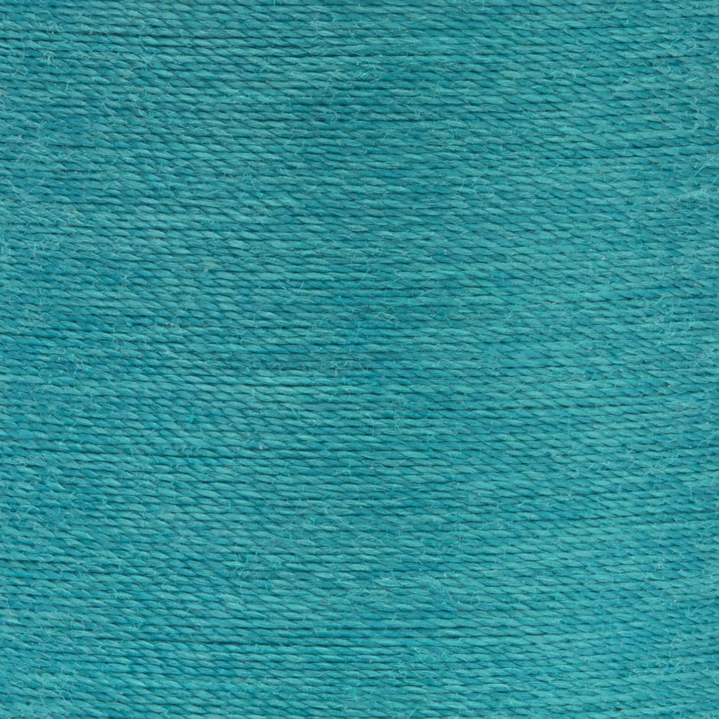 Coats & Clark Dual Duty XP All Purpose Thread (125 Yards)