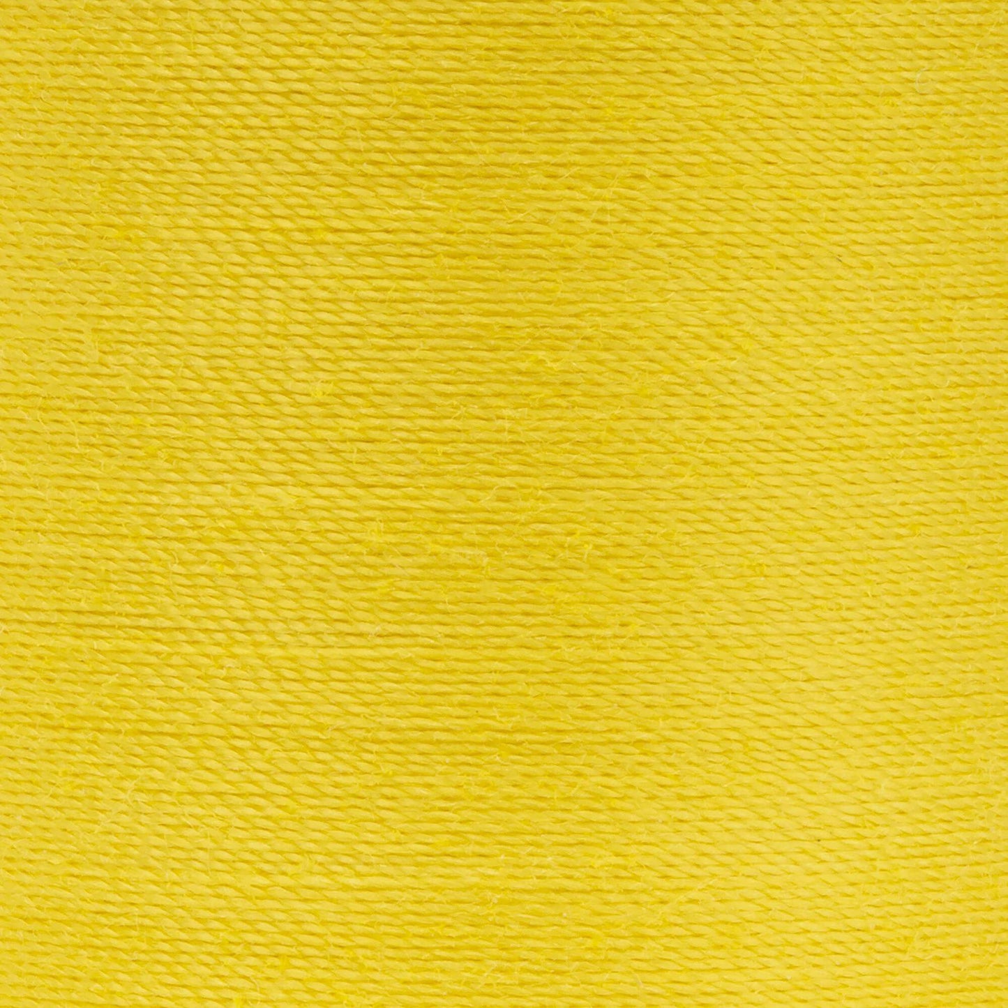Coats & Clark Dual Duty XP All Purpose Thread (125 Yards)