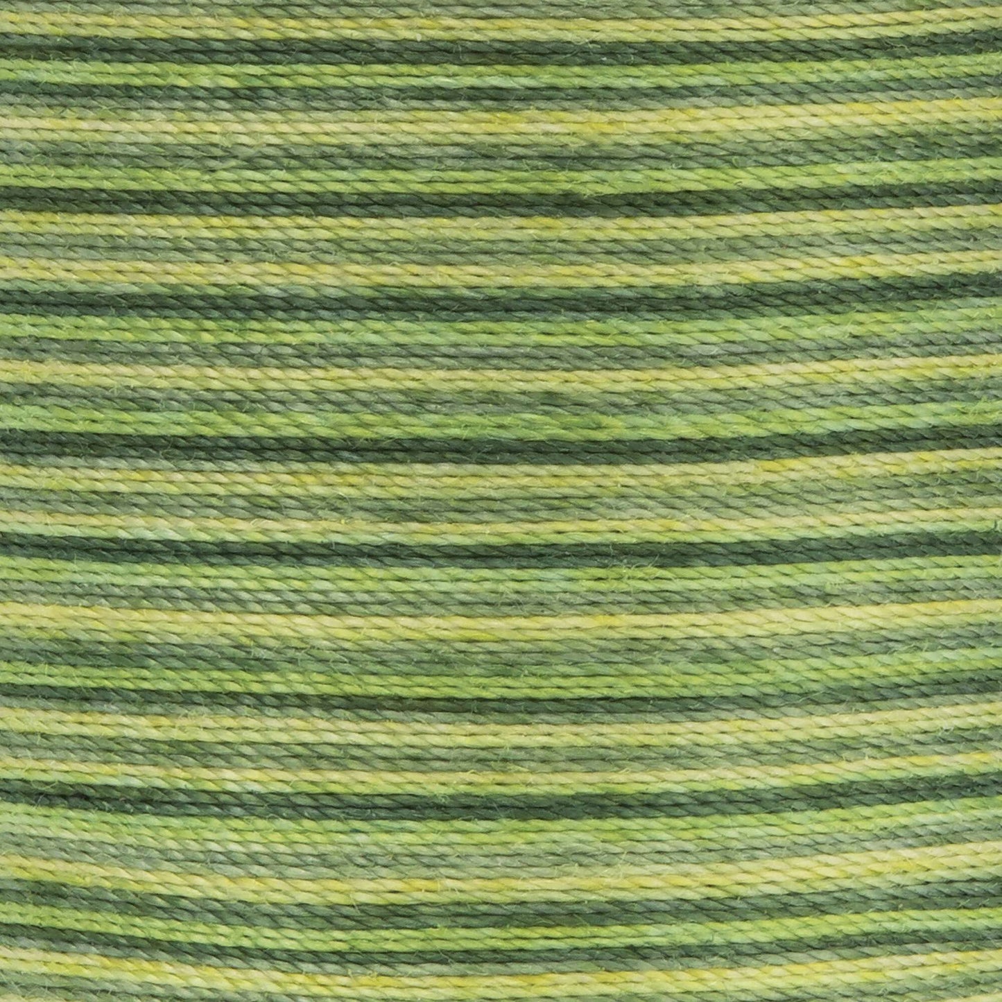 Coats & Clark Dual Duty XP All Purpose Thread (125 Yards)