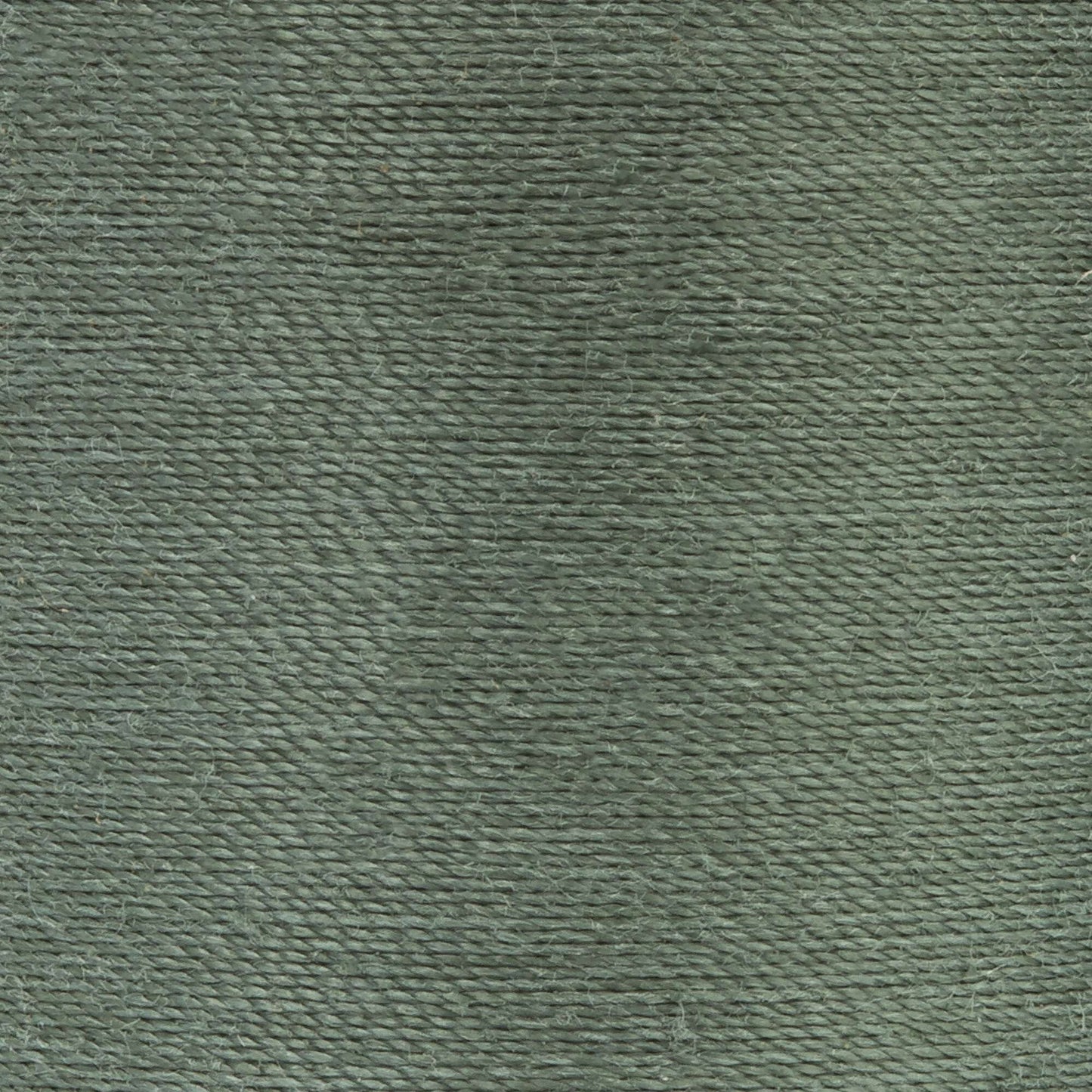 Coats & Clark Dual Duty XP All Purpose Thread (250 Yards) 1