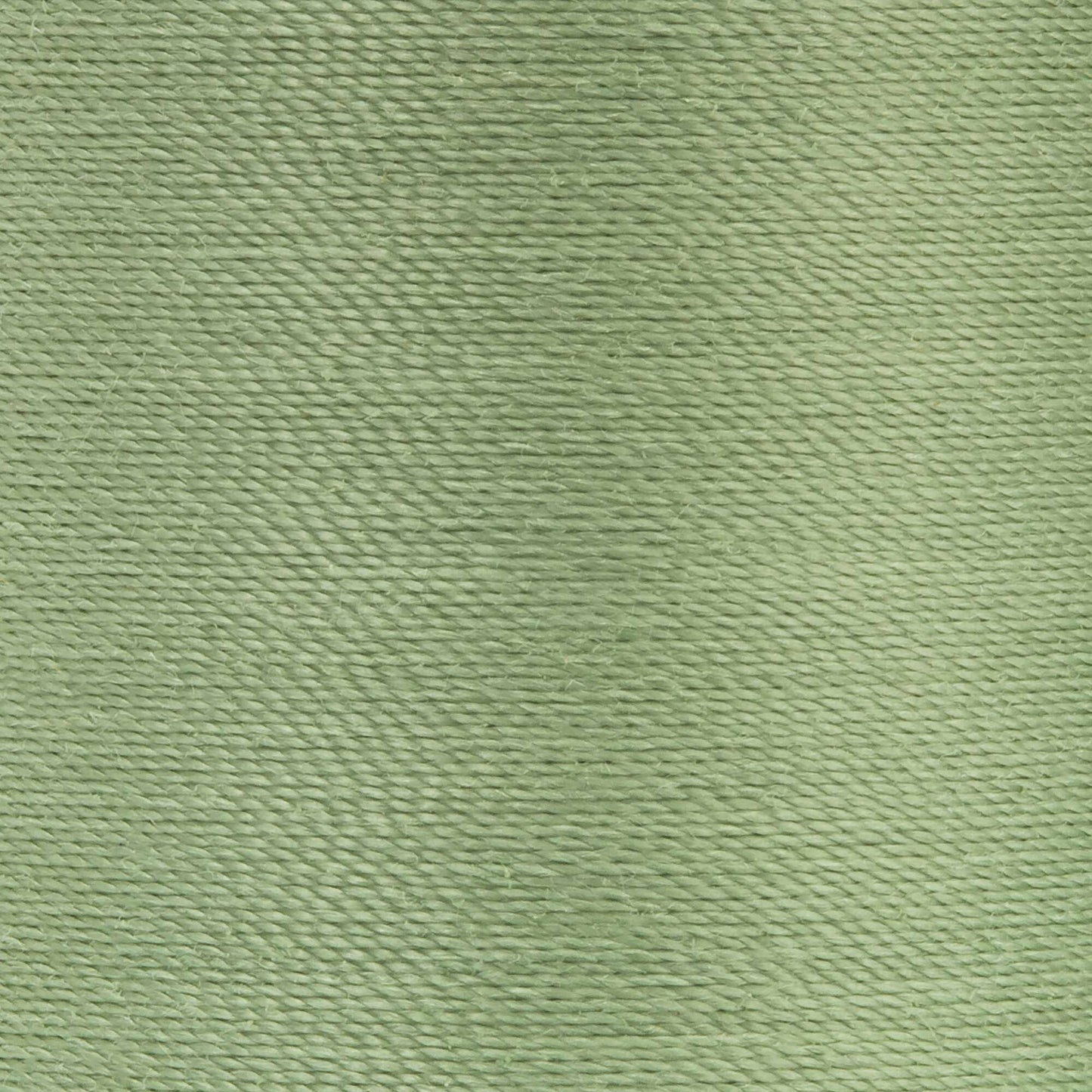 Coats & Clark Dual Duty XP All Purpose Thread (250 Yards) 1