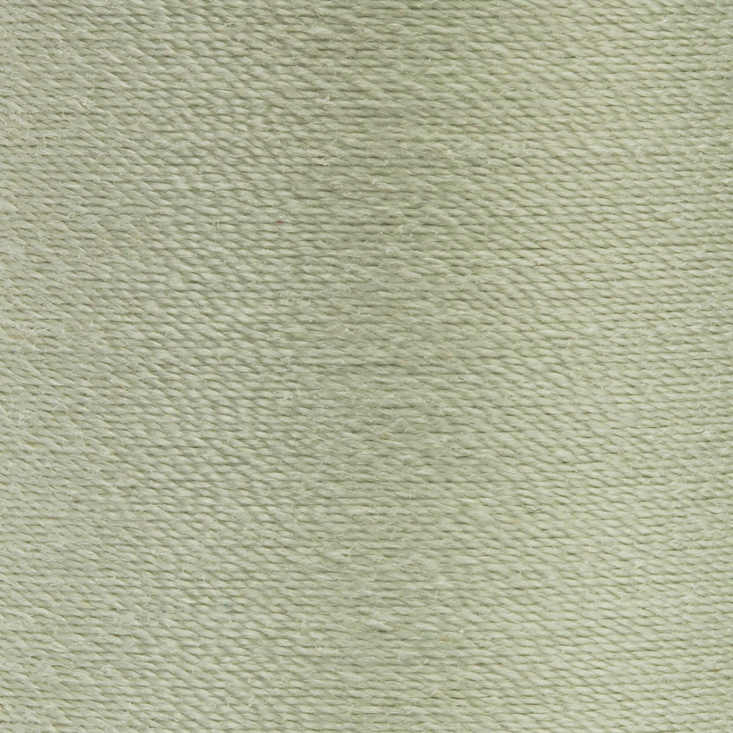 Coats & Clark Dual Duty XP All Purpose Thread (250 Yards) 1