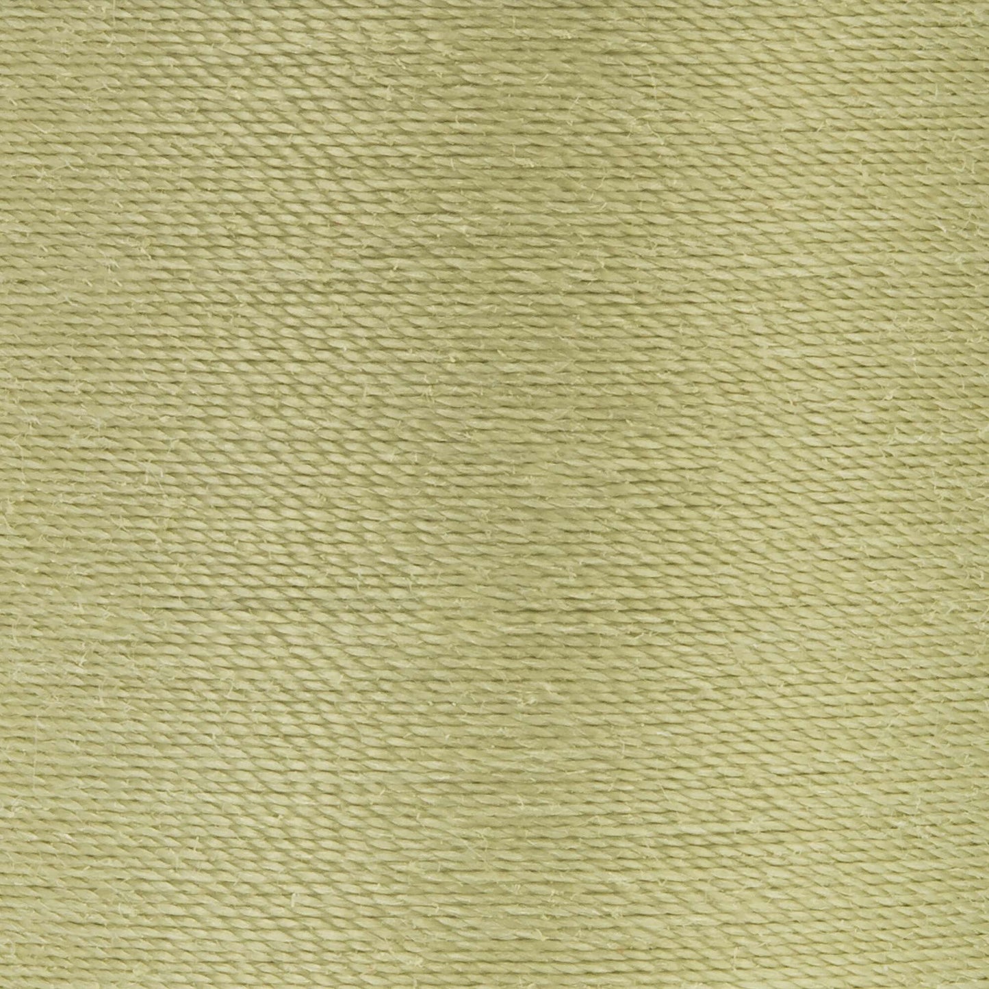 Coats & Clark Dual Duty XP All Purpose Thread (250 Yards) 1