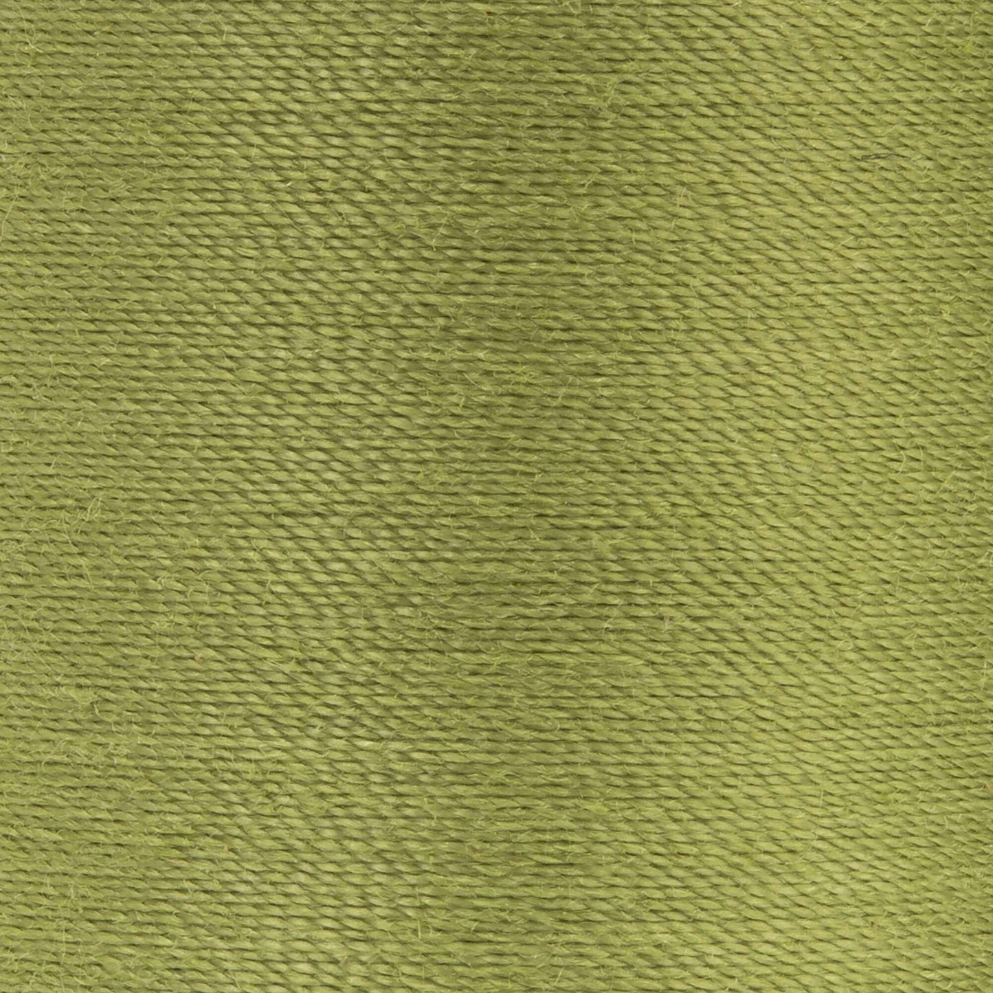 Coats & Clark Dual Duty XP All Purpose Thread (250 Yards) 1
