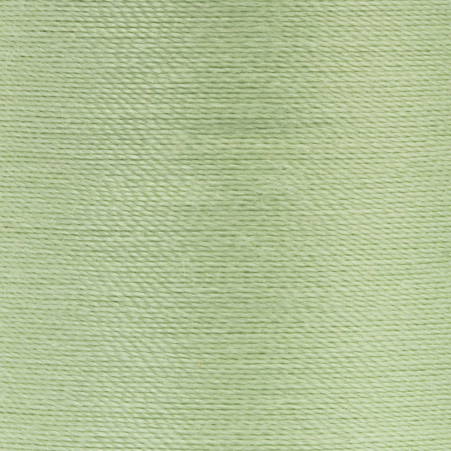 Coats & Clark Dual Duty XP All Purpose Thread (250 Yards) 1