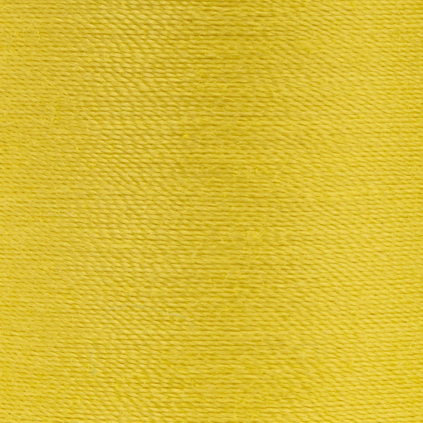 Coats & Clark Dual Duty XP All Purpose Thread (250 Yards) 2