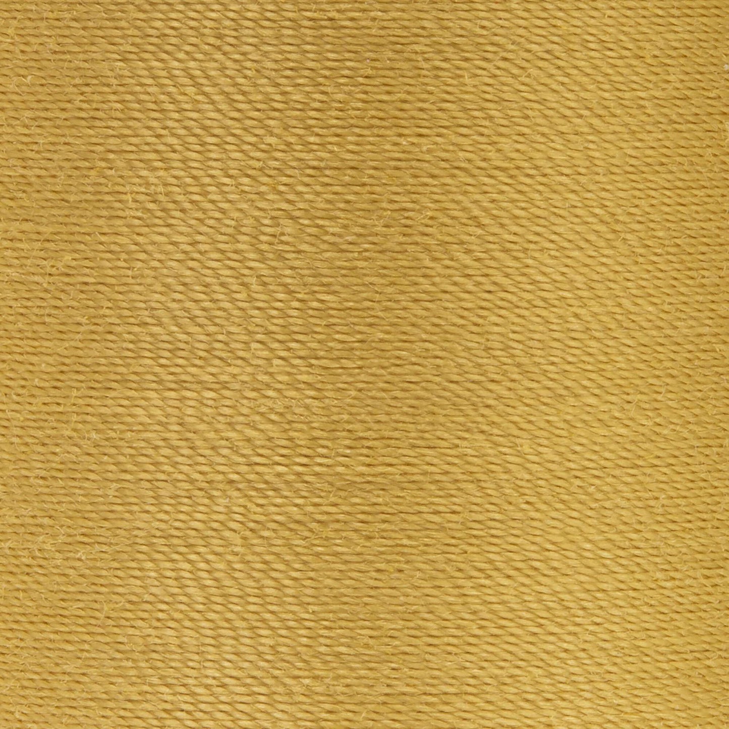 Coats & Clark Dual Duty XP All Purpose Thread (250 Yards) 2
