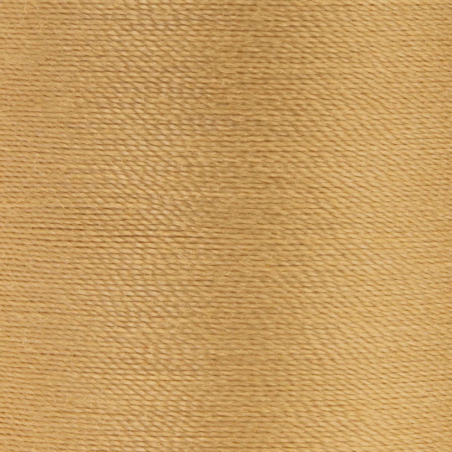 Coats & Clark Dual Duty XP All Purpose Thread (250 Yards) 2