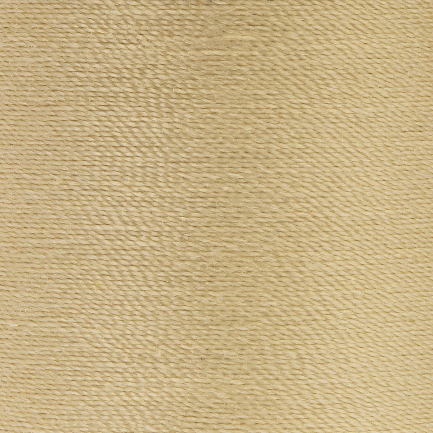 Coats & Clark Dual Duty XP All Purpose Thread (250 Yards) 2