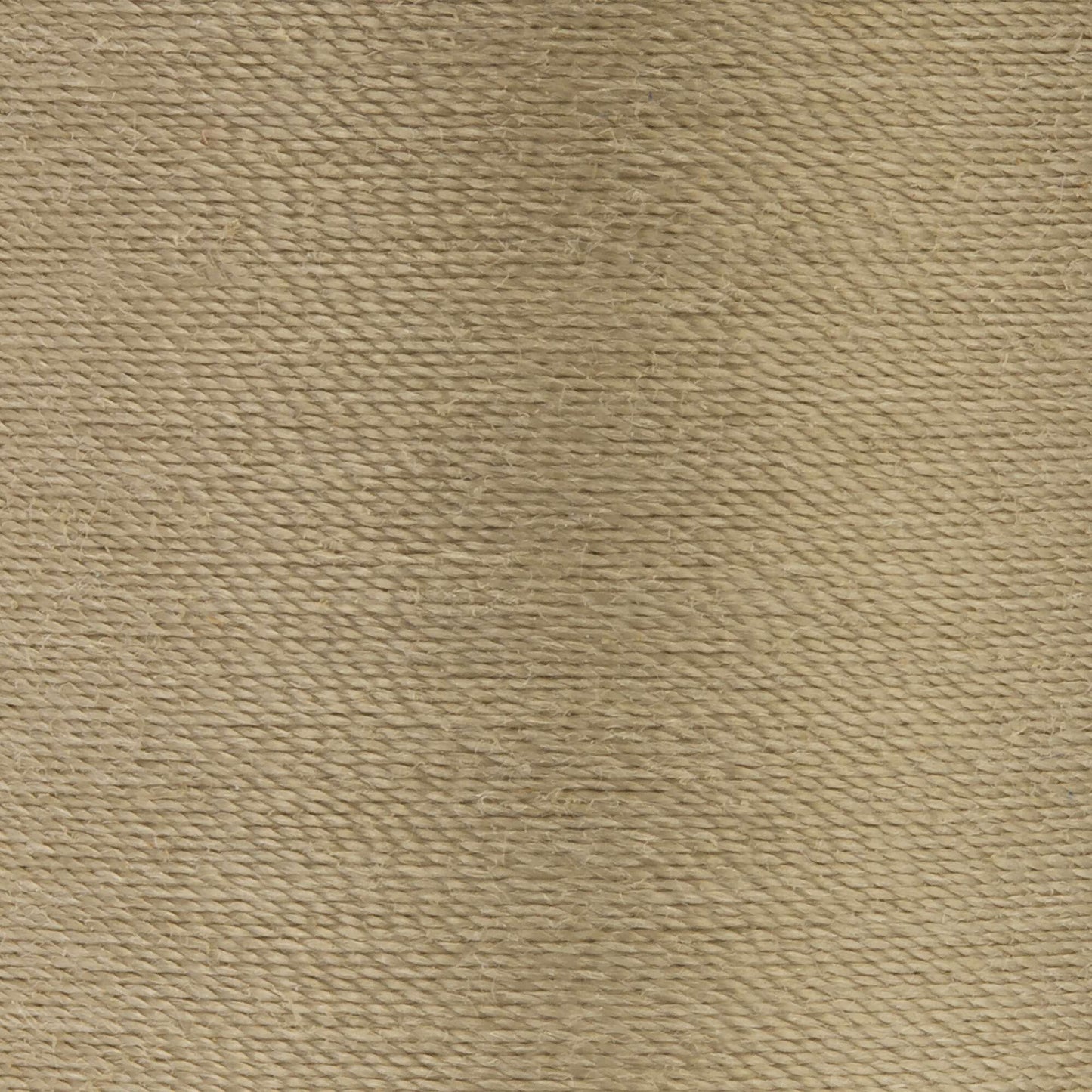 Coats & Clark Dual Duty XP All Purpose Thread (250 Yards) 2
